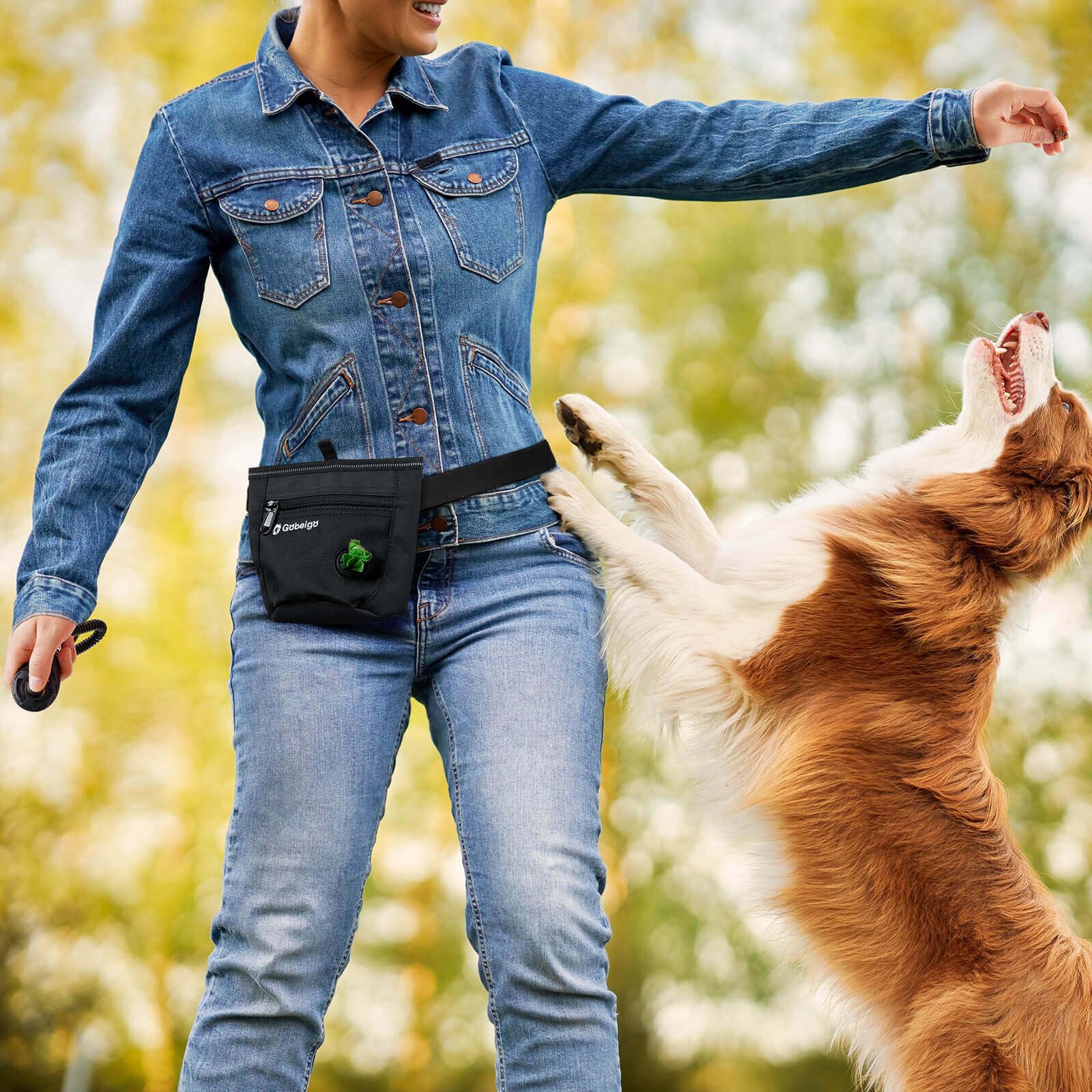 Gobeigo bolsillo-frontal-dispensador-bolsas: acceso rápido a bolsas para paseo.