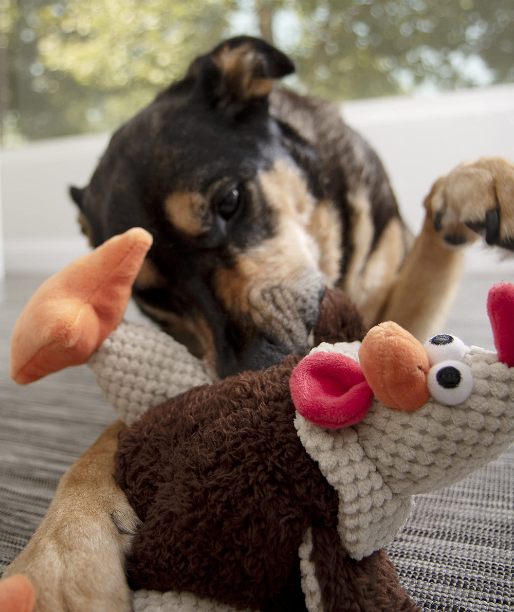 godog Checkers Fat Rooster: peluche suave con textura para juego interactivo