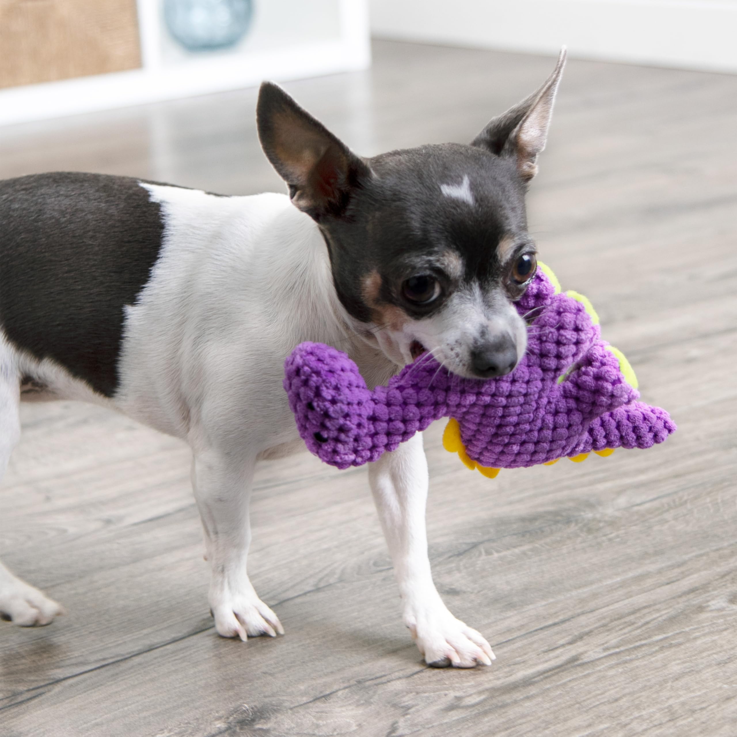 goDog Checkers Juguete Peluche para Perro Mini: compañero de juego y descanso.