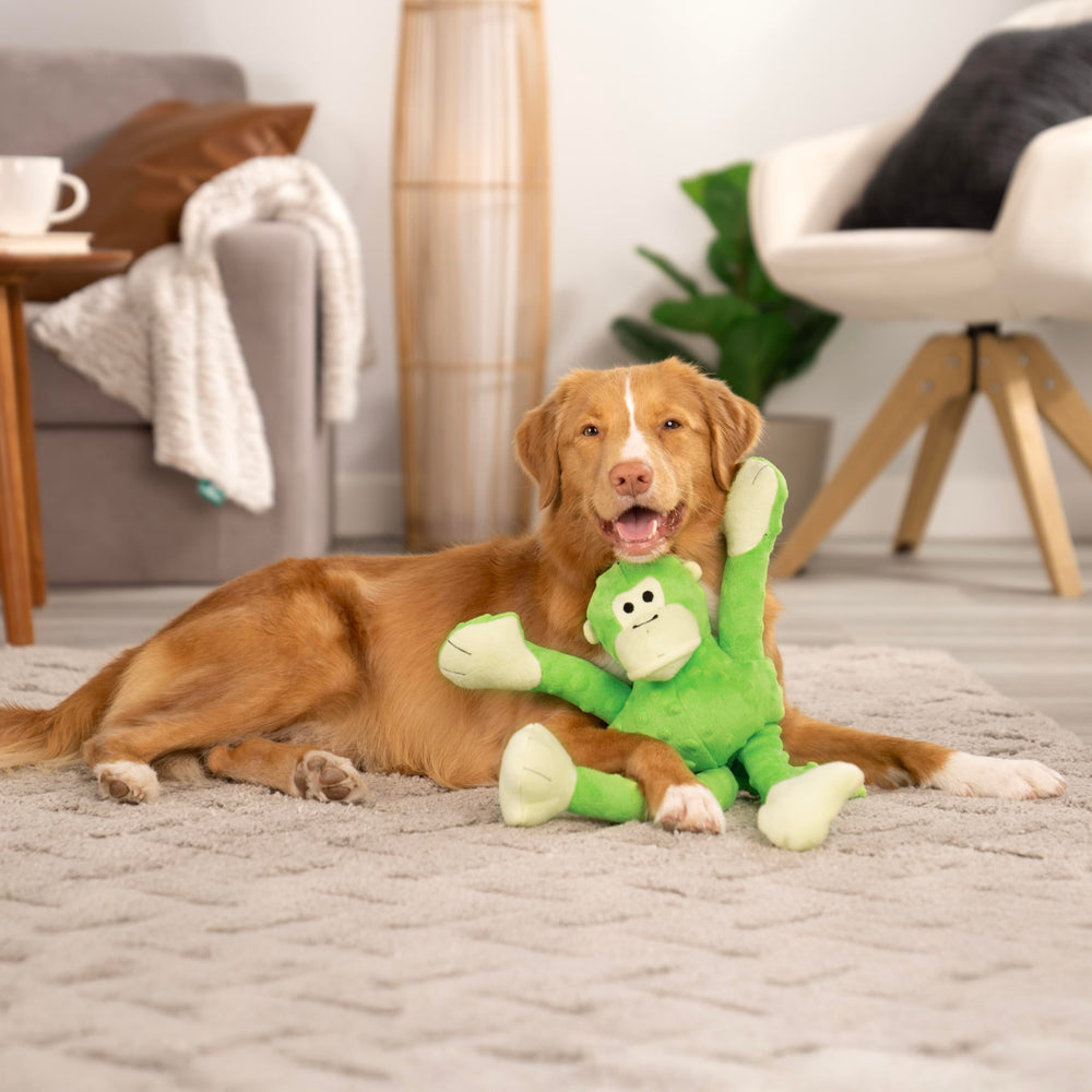 goDog Crazy Tugs Monkeys diseño atractivo para perros activos.