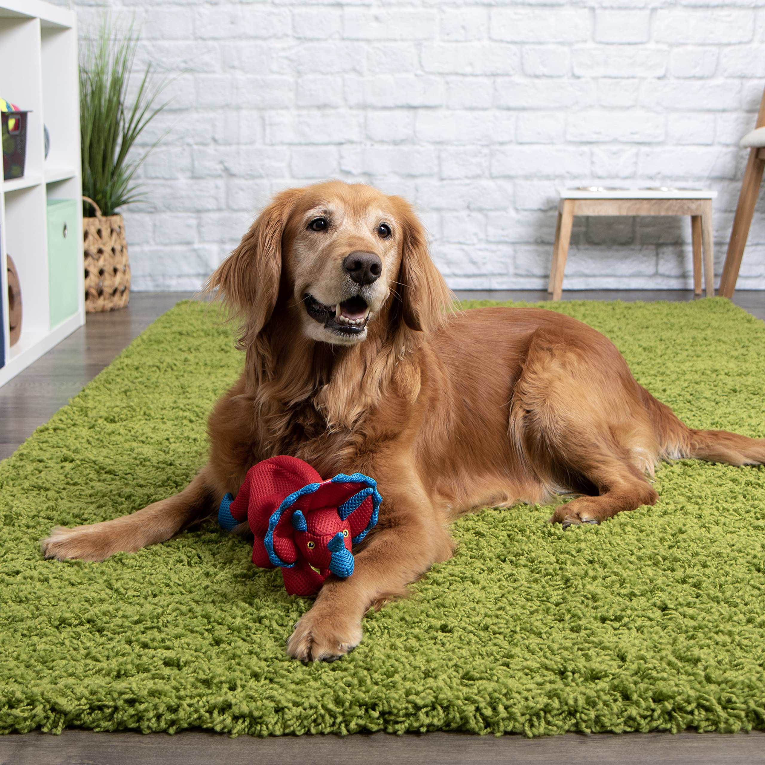 GoDog Dino Frills colores brillantes para visibilidad en exterior