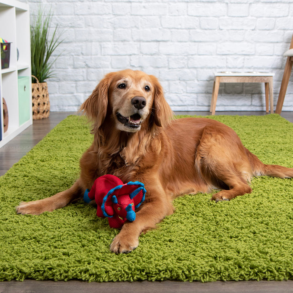 GoDog Dino Frills colores brillantes para visibilidad en exterior