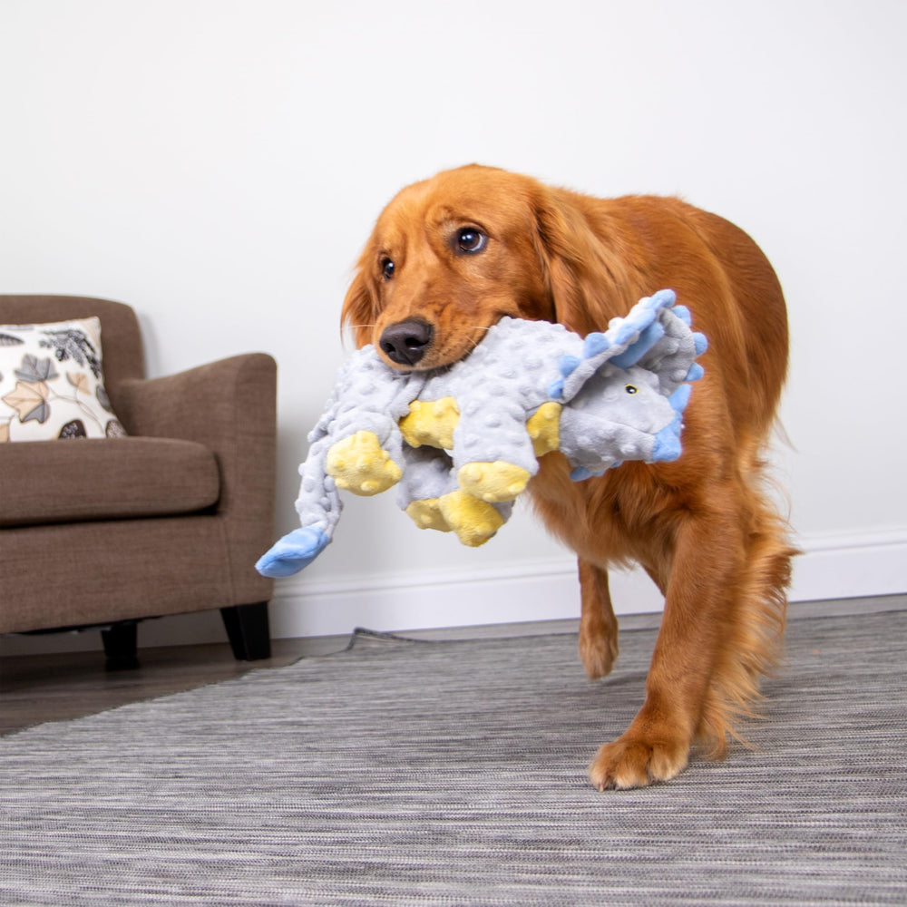 GoDog Dinos Frills seguro para perros activos durante el juego.