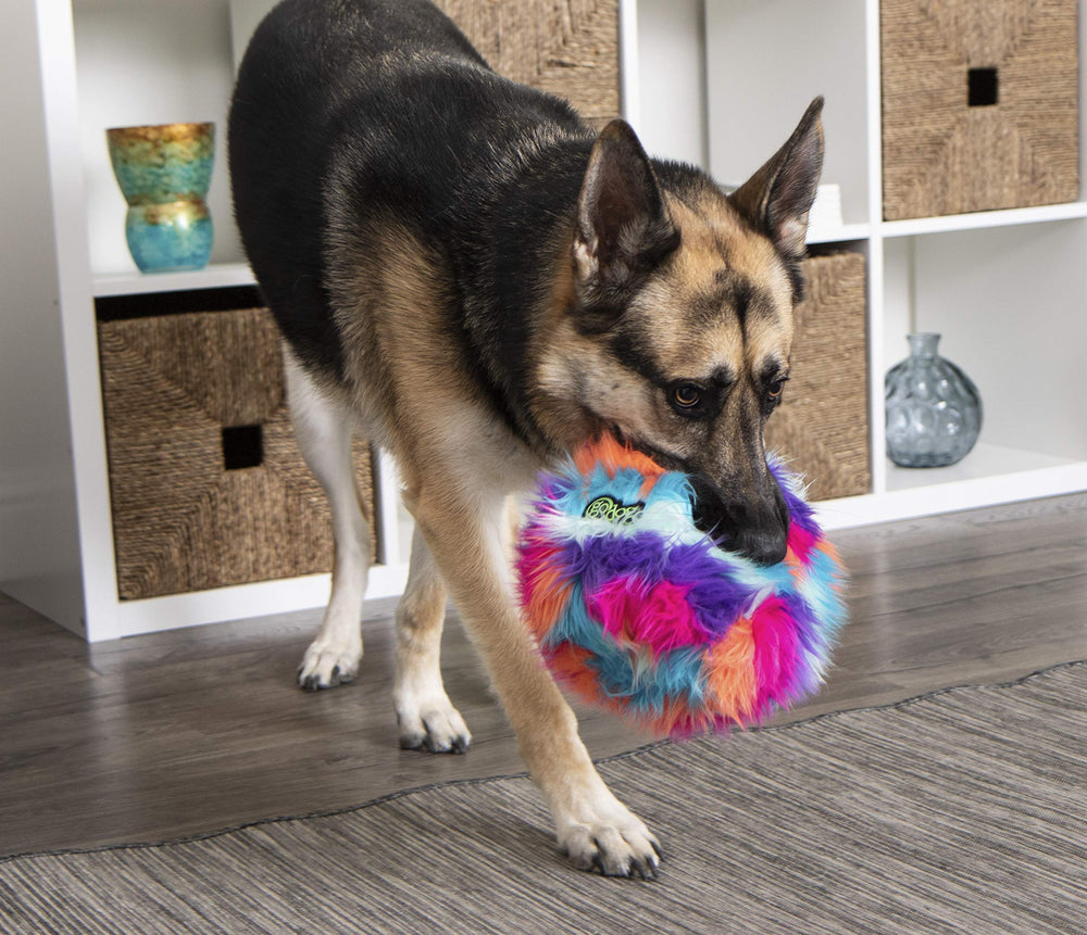 GoDog Furballz: textura suave que invita al juego interactivo.