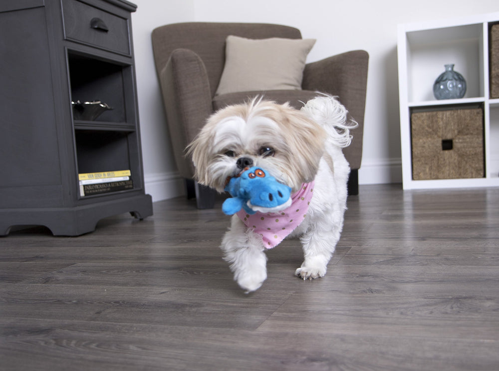 GoDog Gator mini para razas pequeñas y manejo sencillo