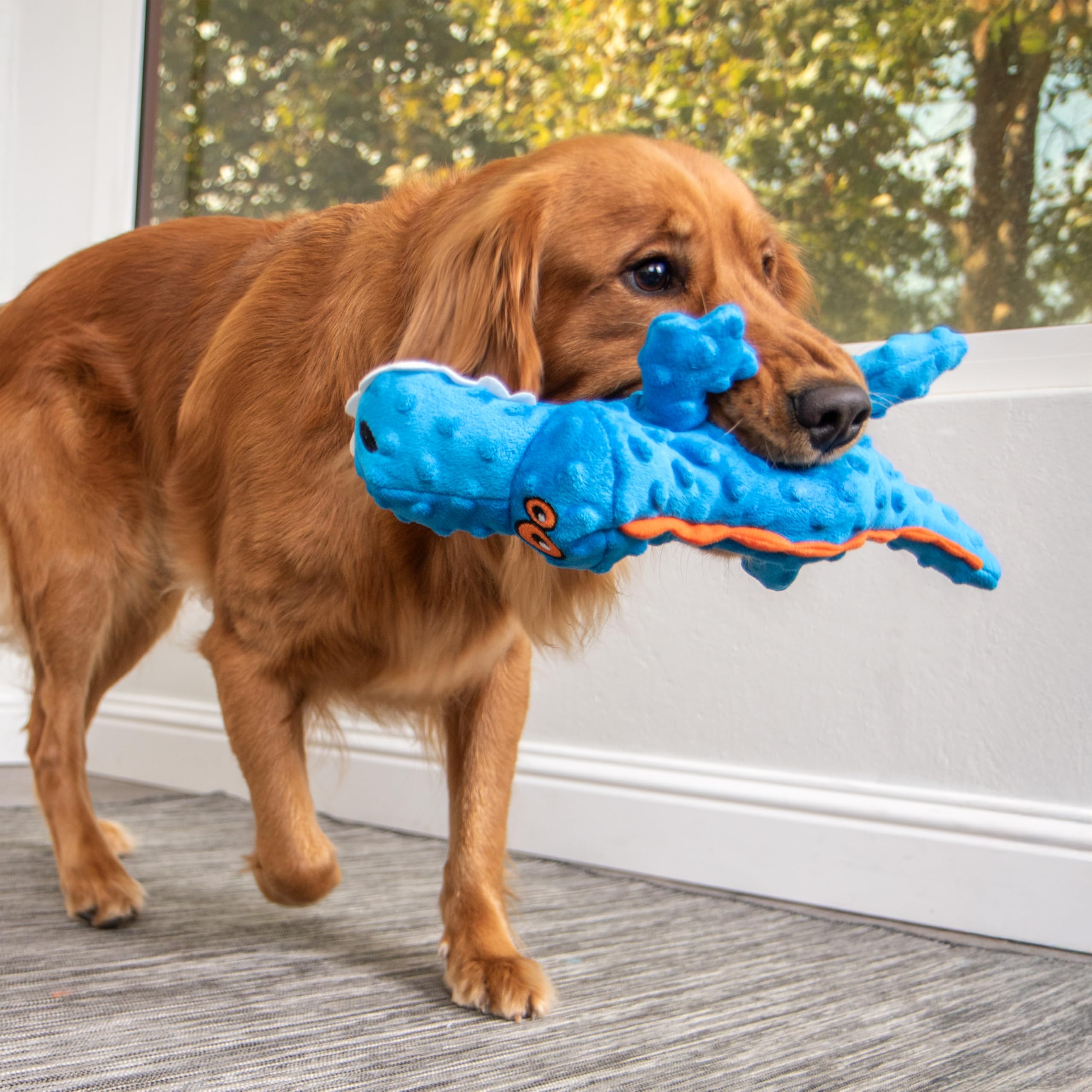 goDog Gators: diseño azul grande para perros activos.