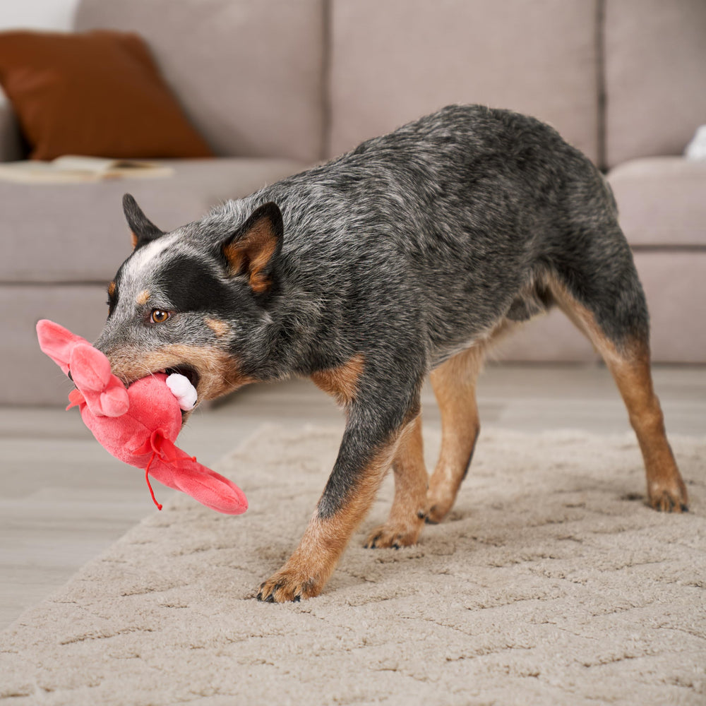 goDog Langosta: durabilidad mejorada para perros curiosos y enérgicos