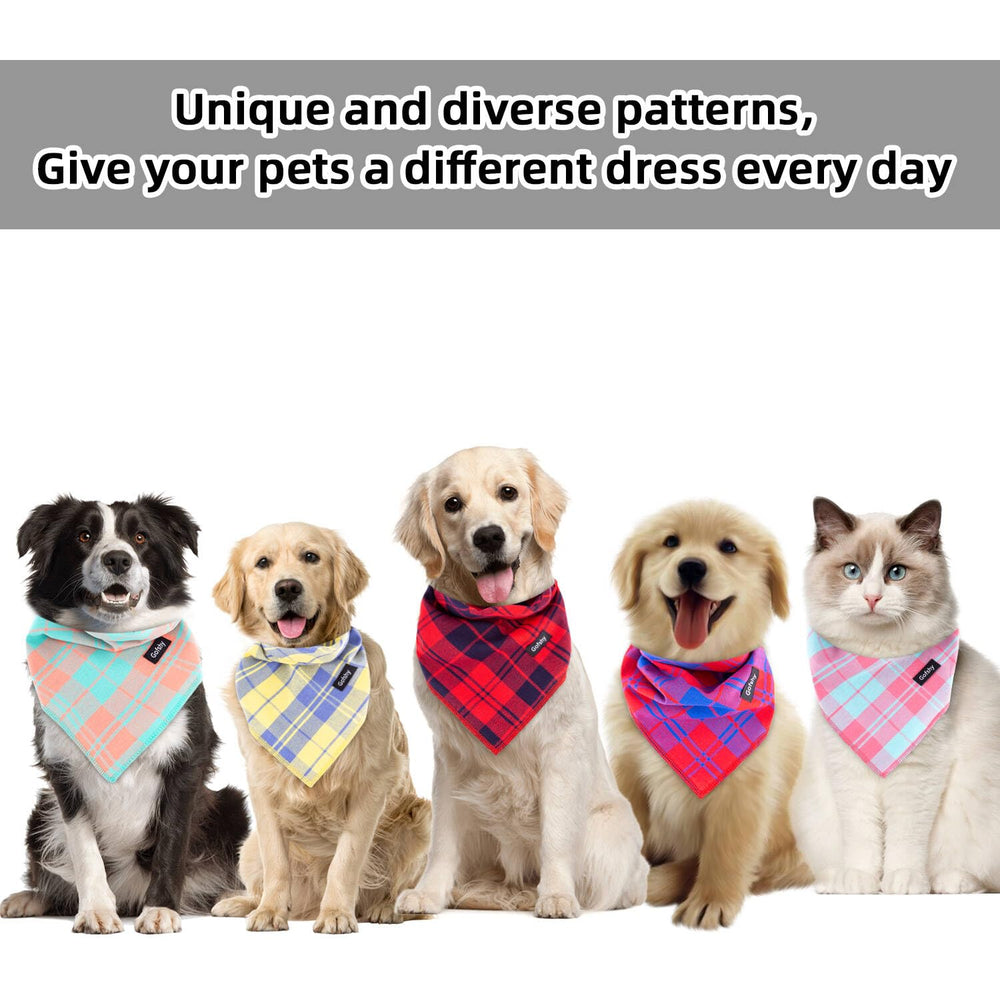 Bandana Gofshy para sesiones de fotos y eventos caninos