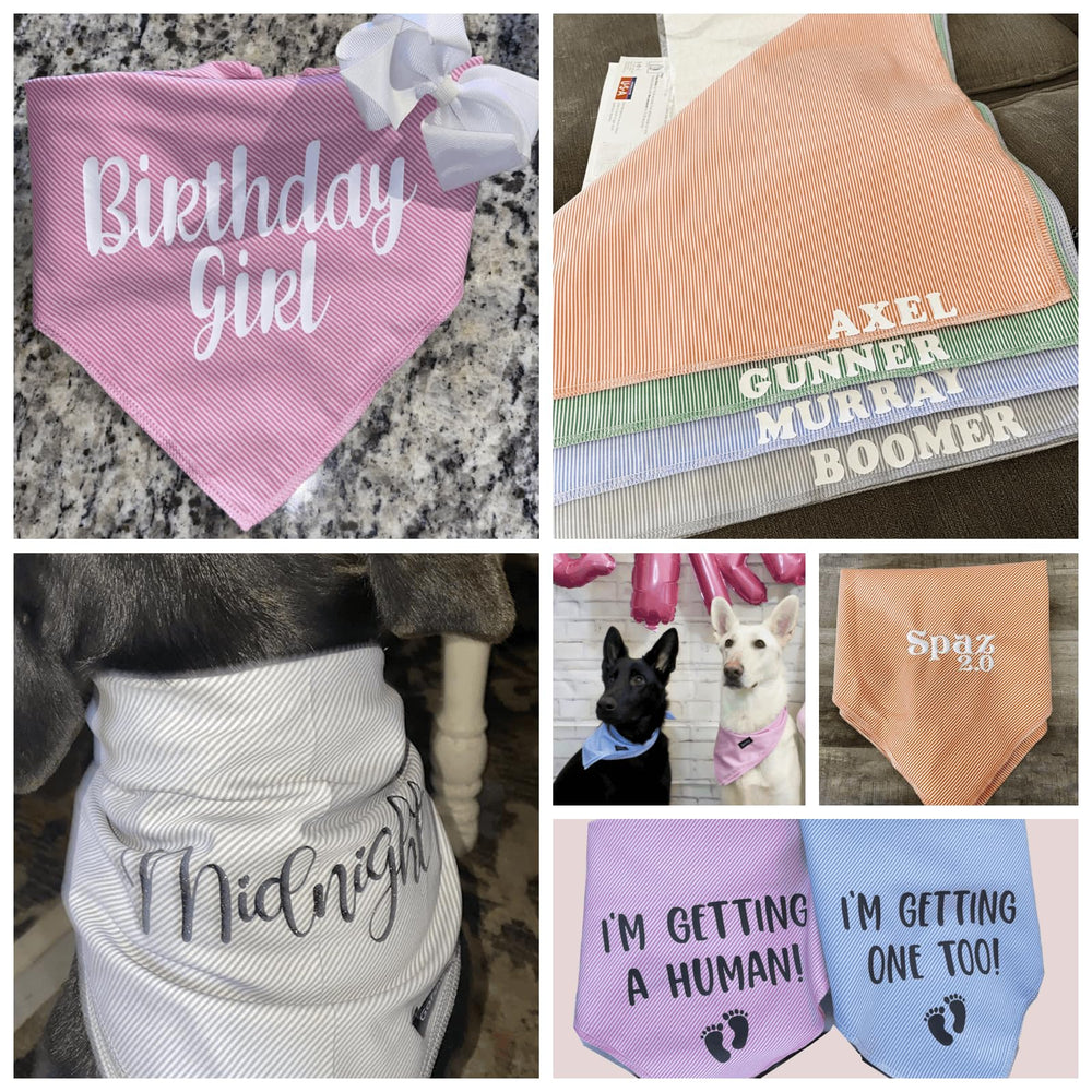 Gofshy bandana talla 18x18 para cuellos medianos