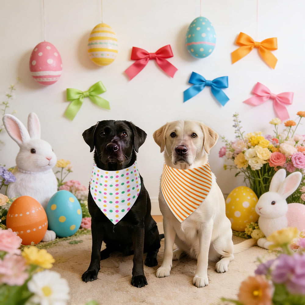 Gofshy regalo perfecto para mascotas durante Pascua y ocasiones especiales.