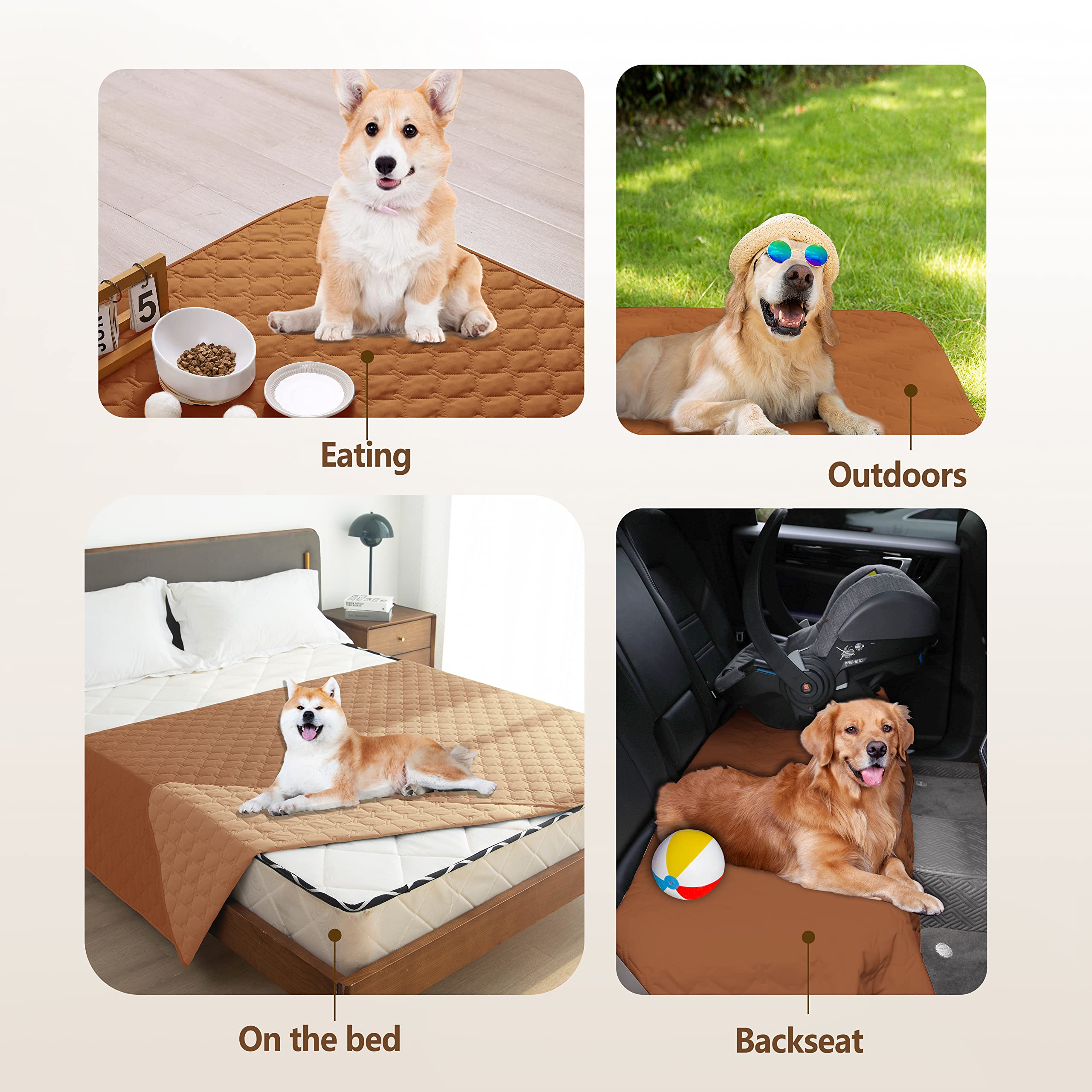 Pack 1 gogobunny funda impermeable para mascotas.