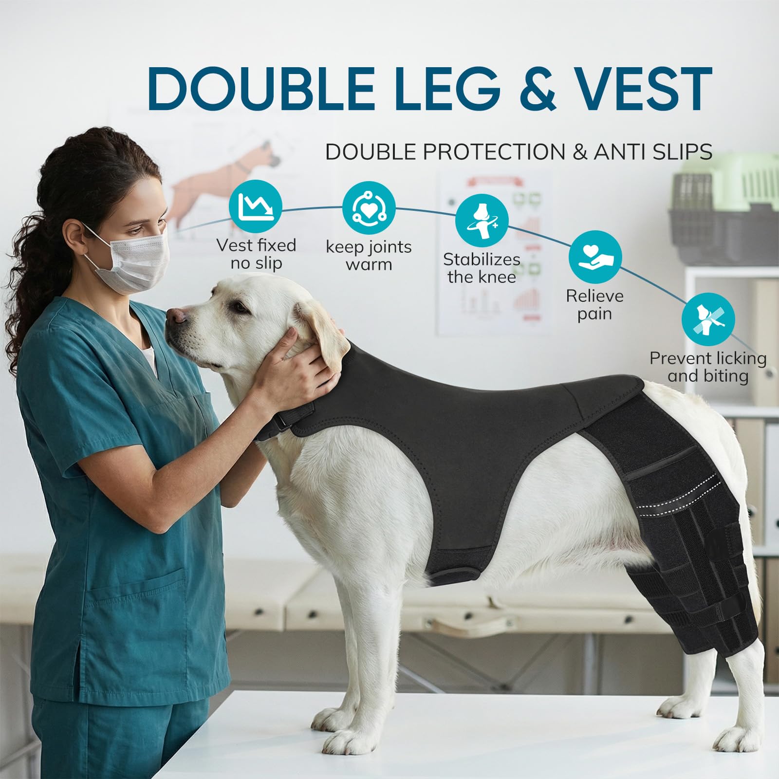 GoGoPaw soporte ortopédico recomendado por veterinario para rehabilitación no invasiva.