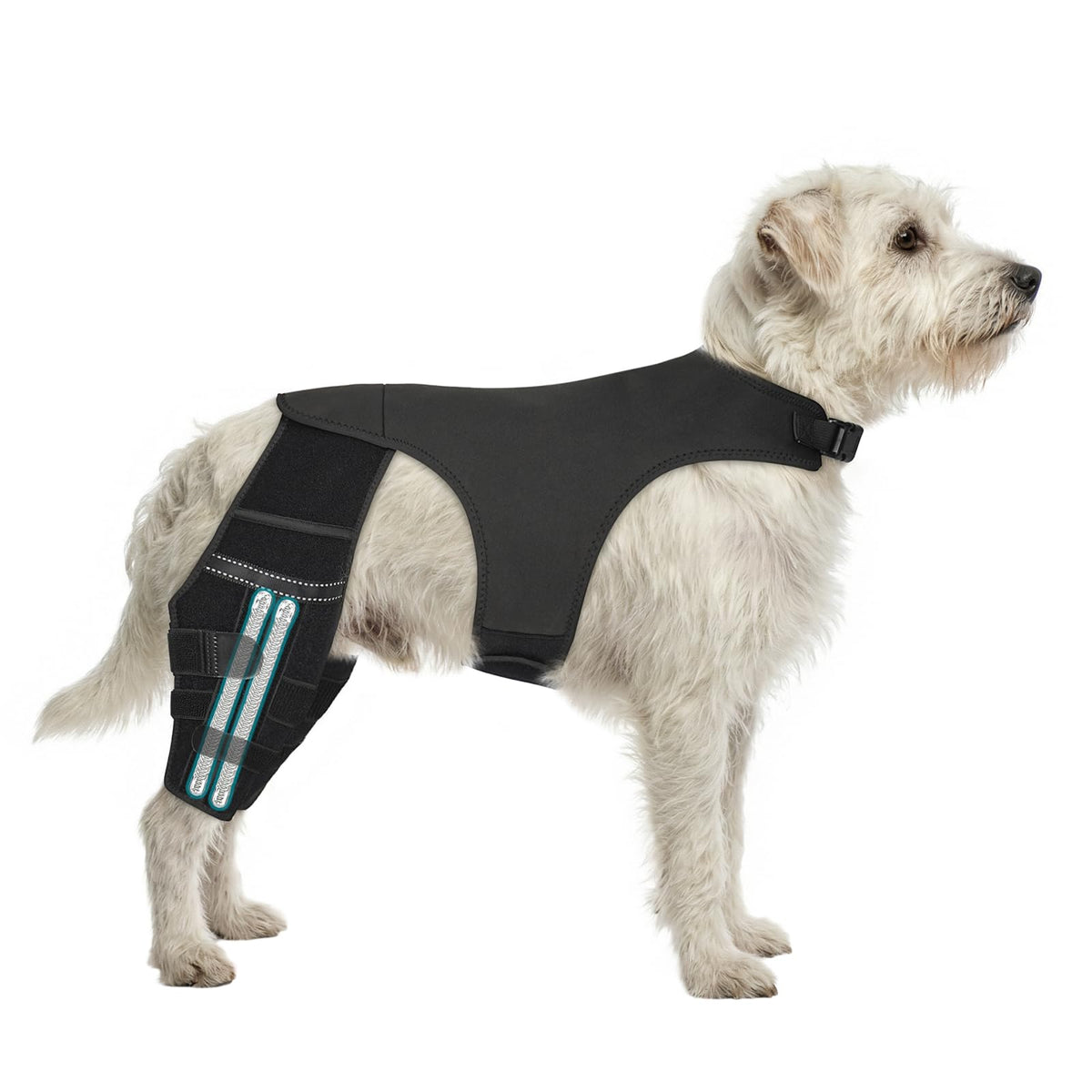 GoGoPaw, doble soporte de rodilla para perro, ayuda a estabilizar articulaciones durante la recuperación.