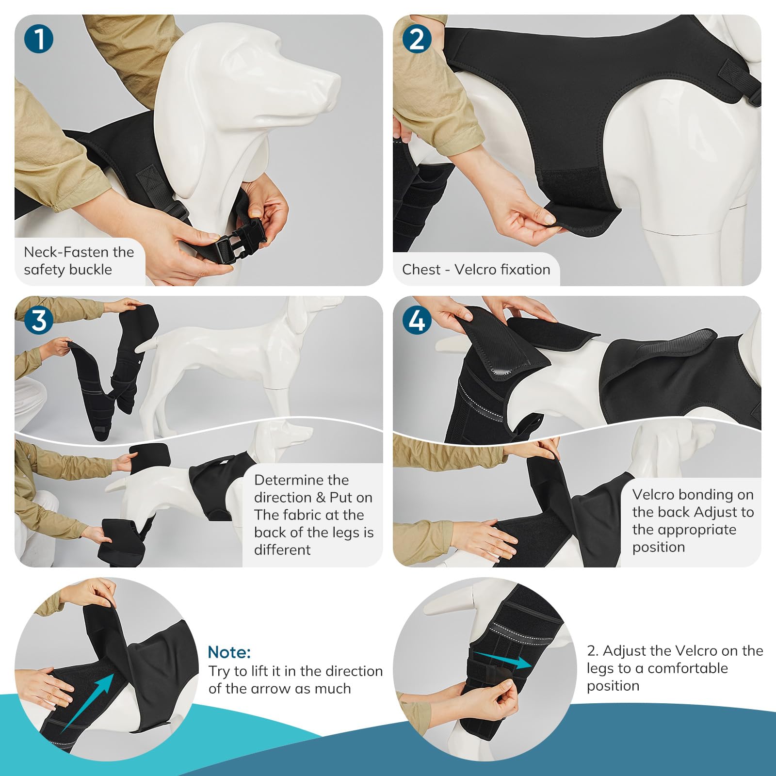 GoGoPaw enganche seguro para torso, evita deslizamientos durante juego y paseo.
