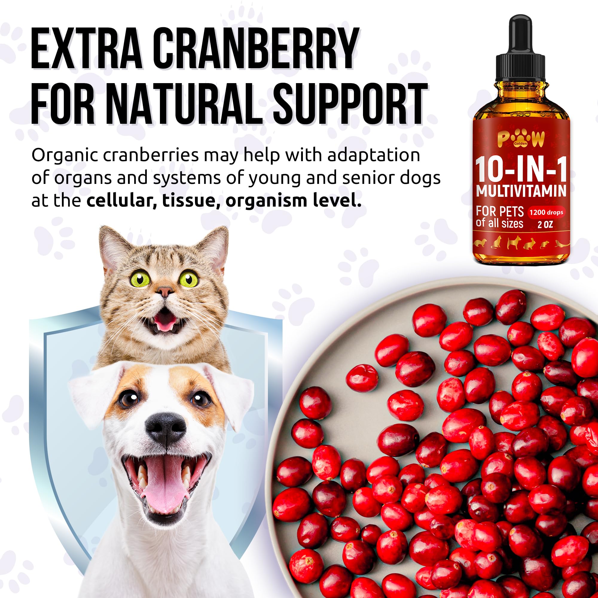 Golden Paw formula-organica: fórmula diaria sin gluten ni colorantes.