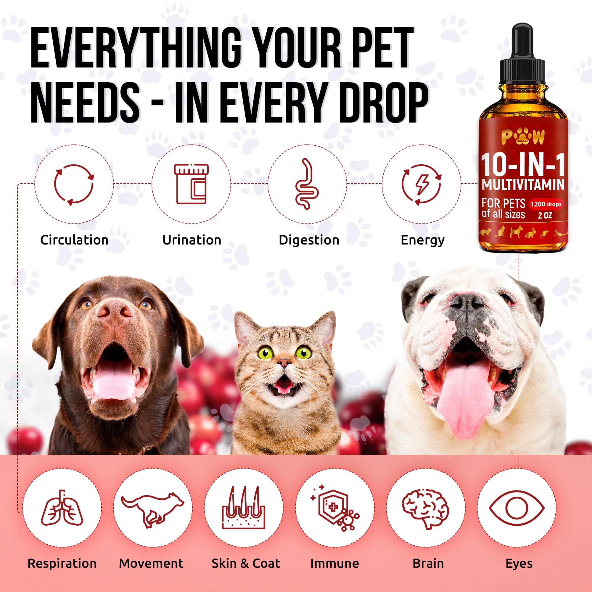 Golden Paw mezcla-en-comida: suplemento práctico para perros y gatos.