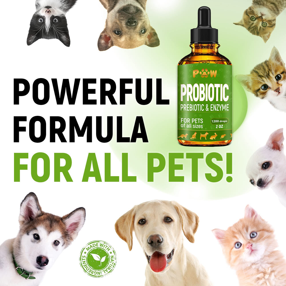 Golden Paw Probioticos composición natural sin aditivos artificiales.