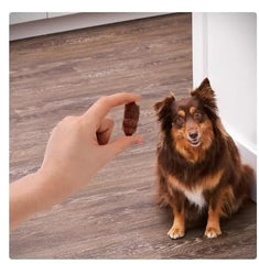 Golden Rewards sin conservantes artificiales: snack natural para perros