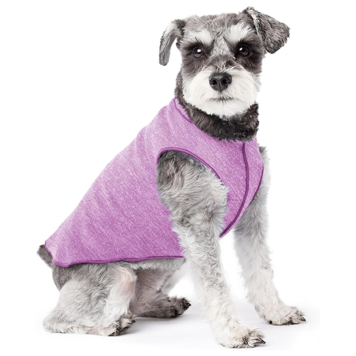 Goldpaw Camisa Solar para Perro con Protección UV 50+, ideal para paseos al sol