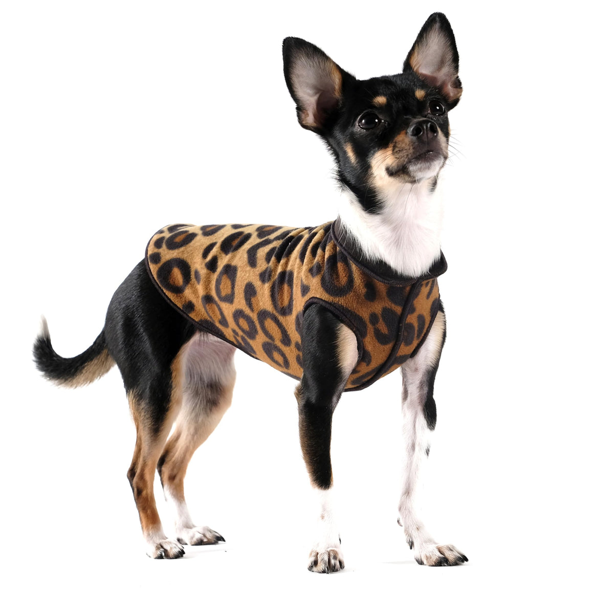 Gold Paw Duluth chaleco doble felpa para perro pequeño, estilo leopardo, comodidad para paseos