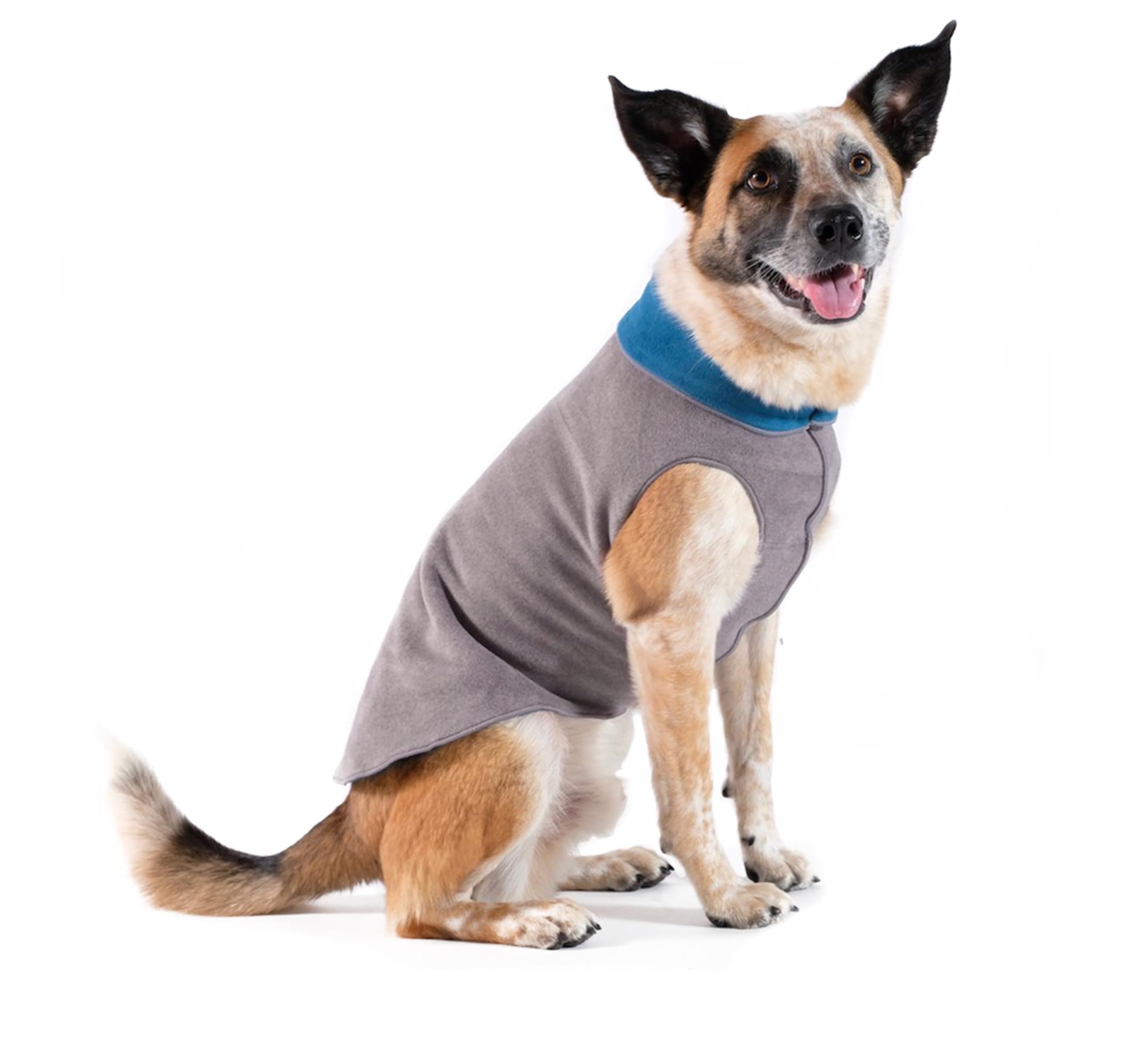 Gold Paw Duluth chaleco doble felpa en perro pequeño, mayor calidez para paseos.