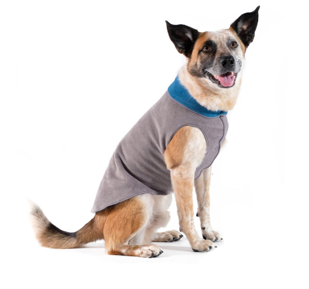 Gold Paw Duluth chaleco doble felpa en perro pequeño, mayor calidez para paseos.