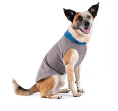 Gold Paw Duluth chaleco doble felpa en perro pequeño, mayor calidez para paseos.