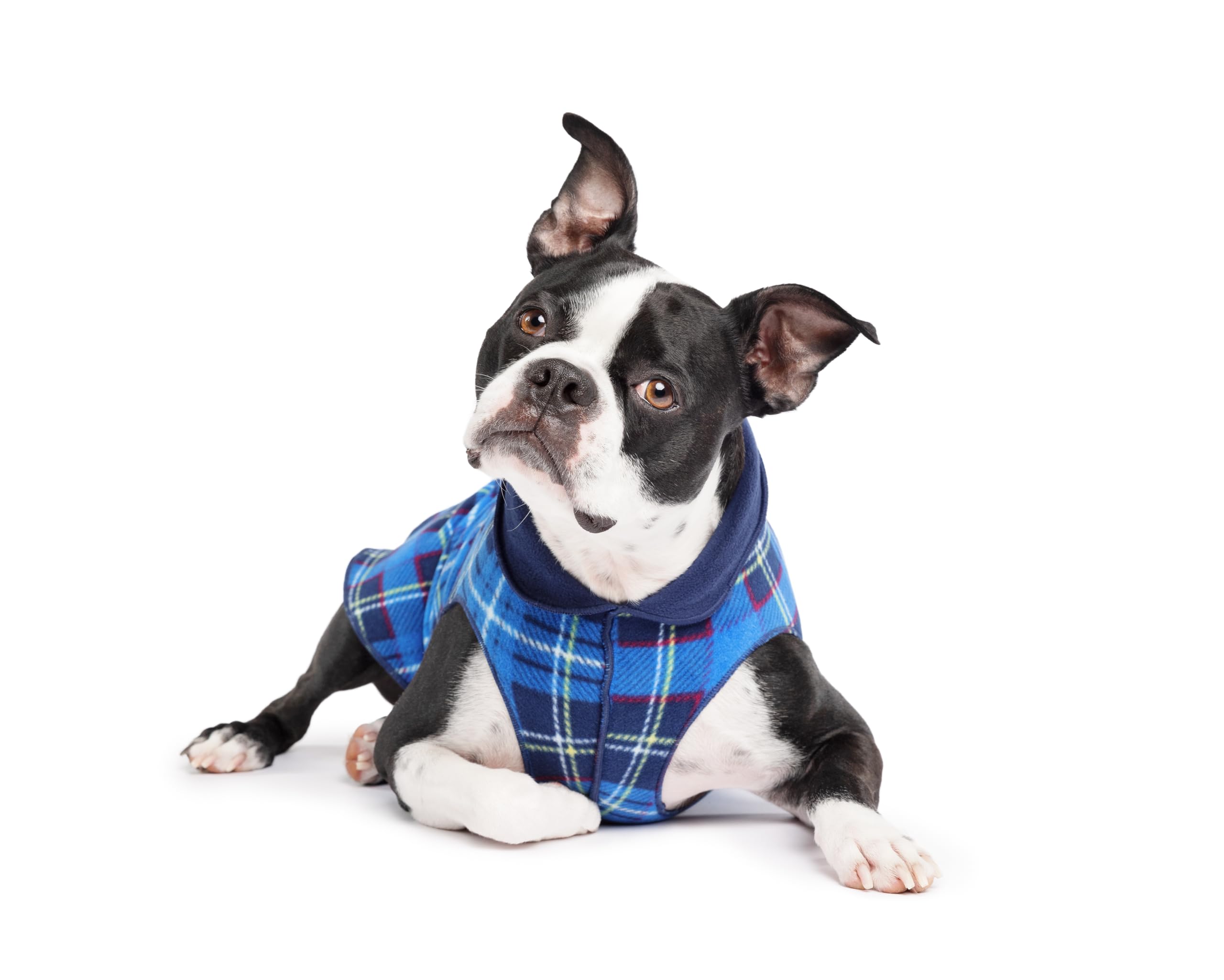 Goldpaw Duluth, sudadera doble forro para perro pequeño, abrigo cálido para paseos.