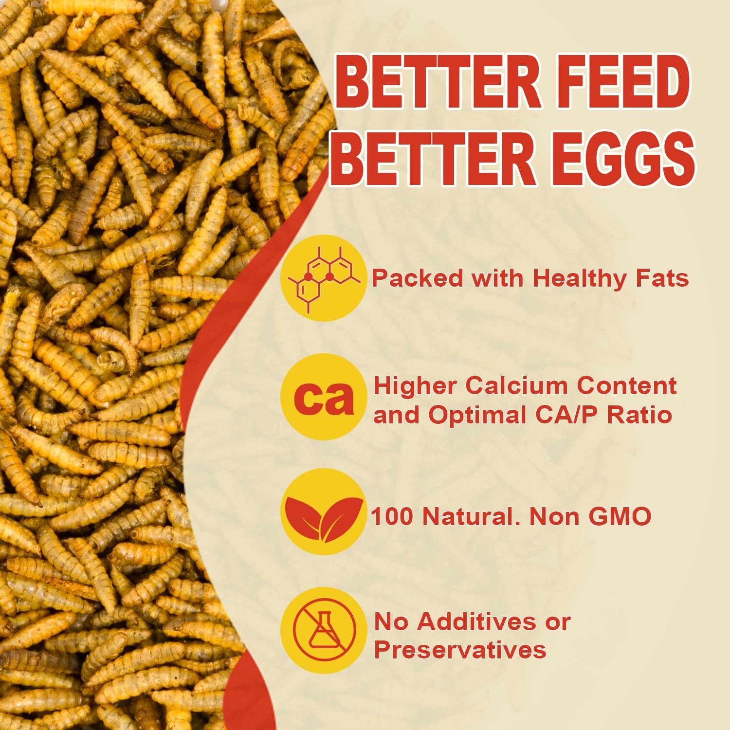 GOLDWORMS aves comiendo larvas deshidratadas como snack nutritivo.