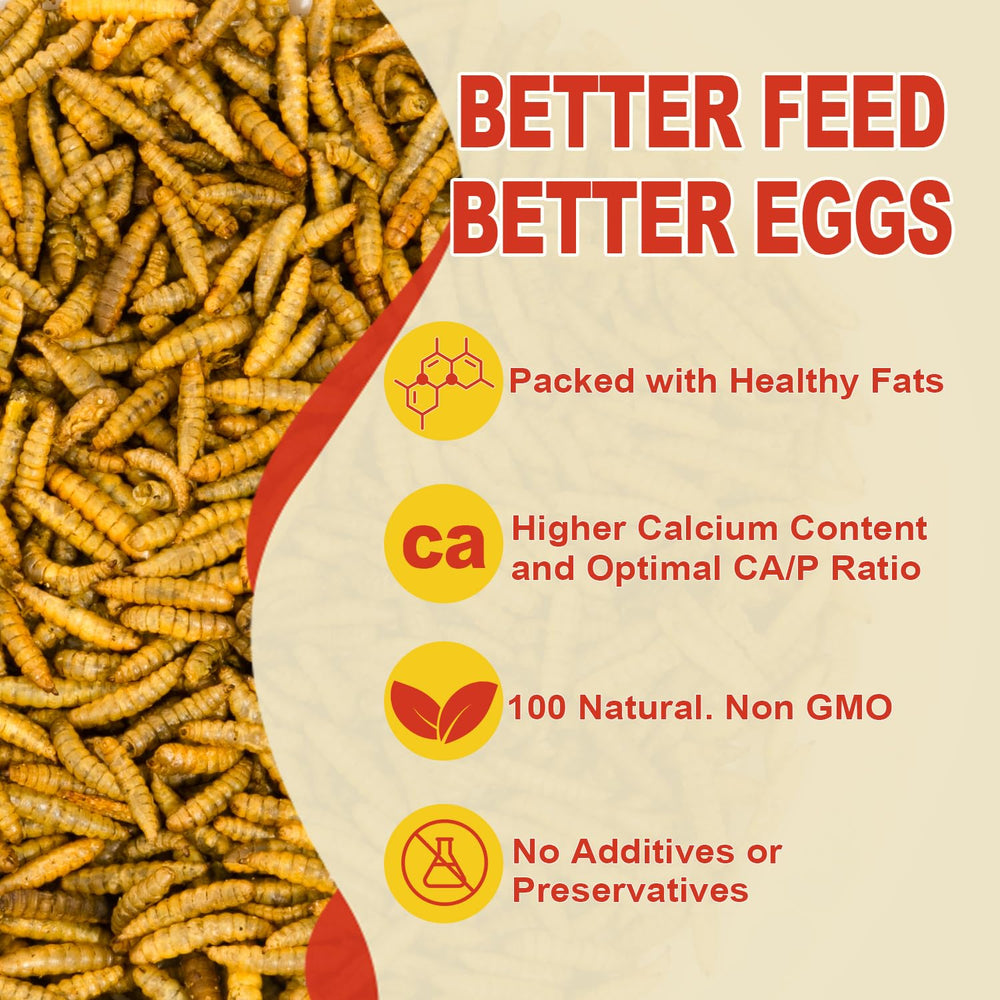 GOLDWORMS aves comiendo larvas deshidratadas como snack nutritivo.