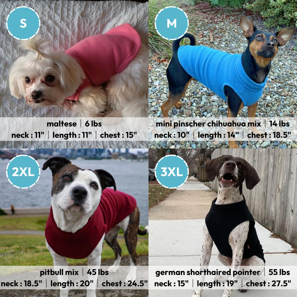 Ajuste adaptable en diferentes tallas para perros grandes con Gooby.