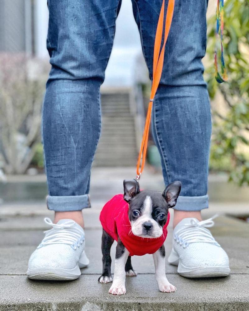 Chaleco Gooby de felpa para perros grandes, comodidad y abrigo en paseos.