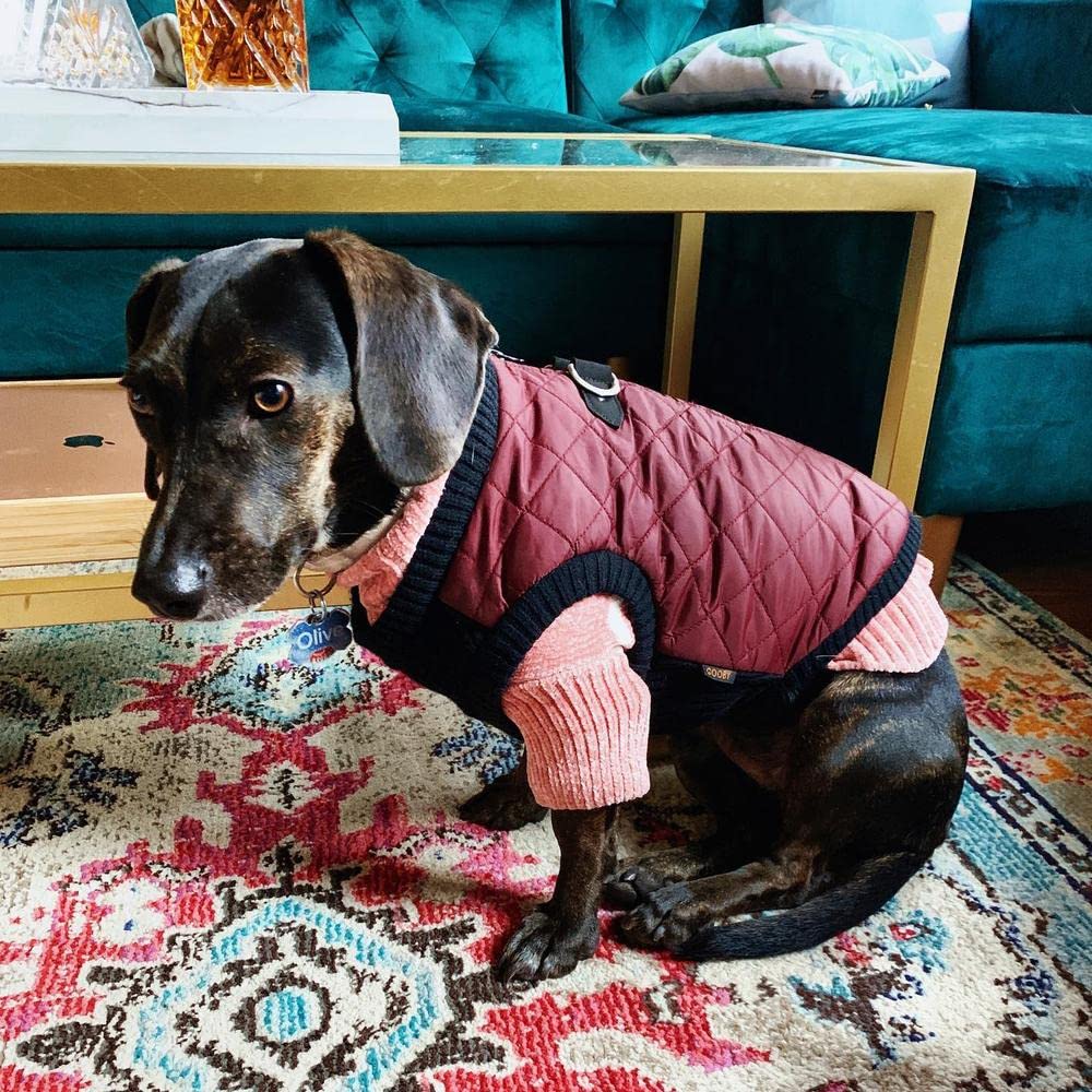 Gooby Chaleco de Moda para Perro Morado, exterior resistente al agua para días lluviosos