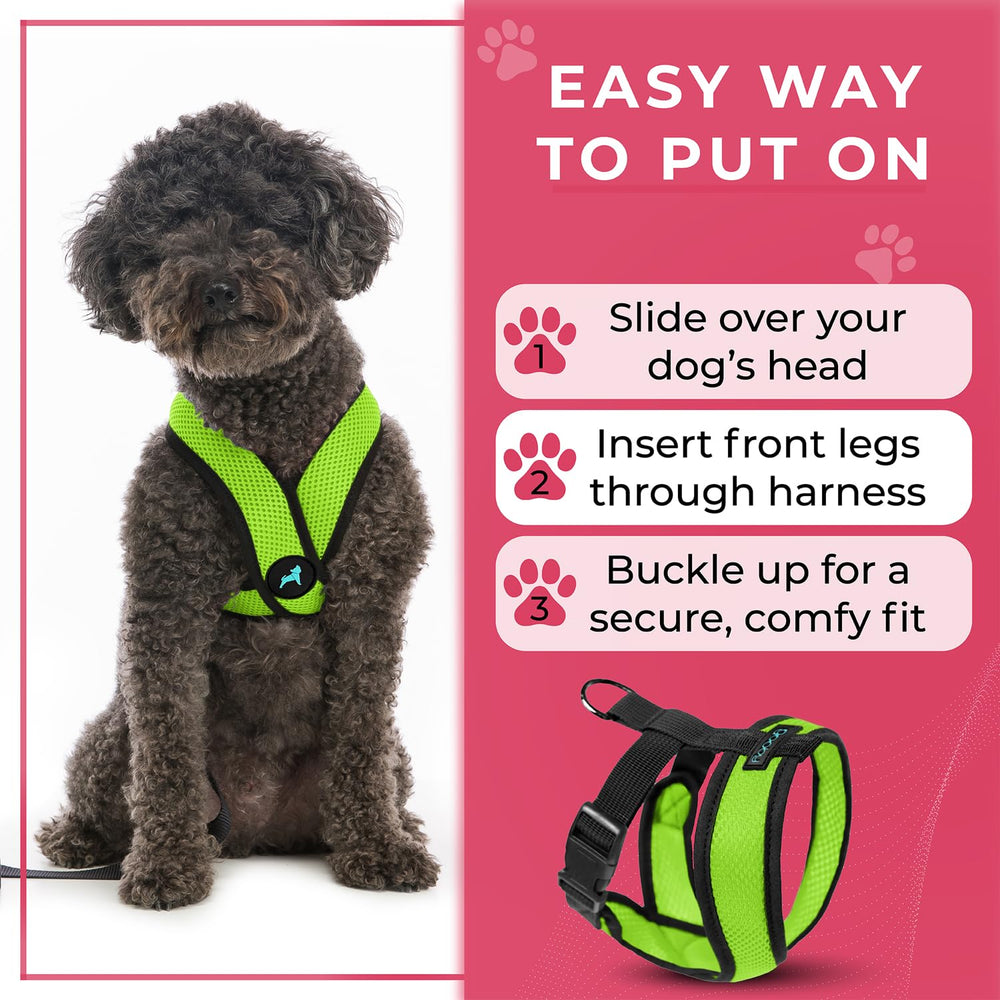 Paseo diario con Gooby Comfort X verde