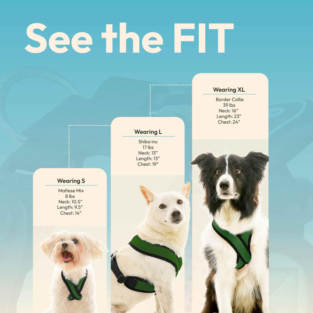 Diseño para perros pequeños Gooby Comfort X, seguridad sin presión en cuello.
