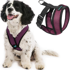 Gooby Comfort X Arnés frente: paseos sin tirones con comodidad.