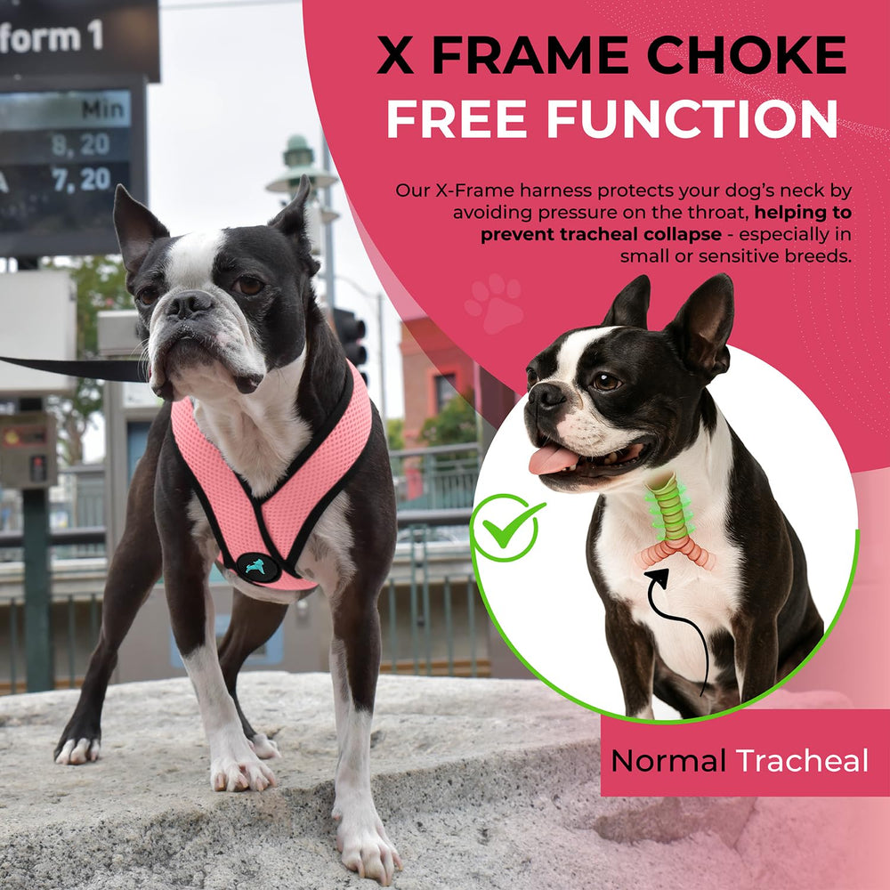 Gooby Comfort X Harness rosa, apta para lavado a máquina.