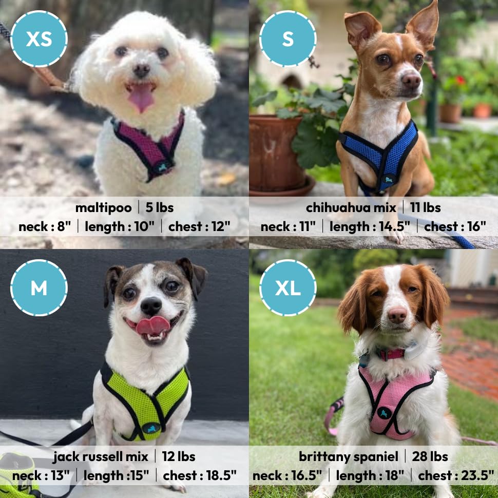 Diseño anti-estrangulamiento Gooby para un paseo seguro y cómodo.