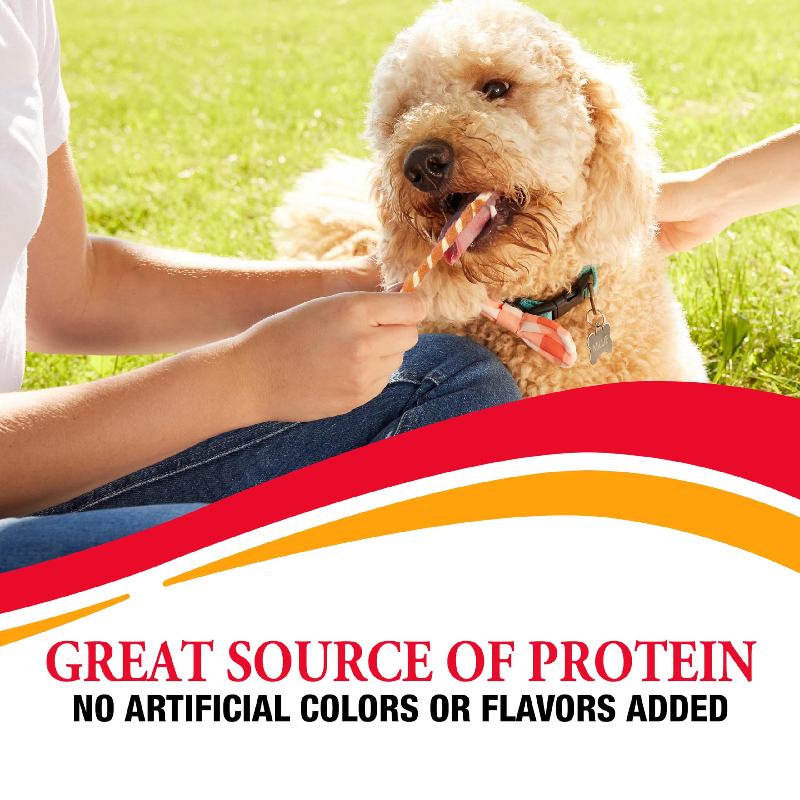 Good 'n' Fun Munchy Sticks: ideal para perros de diferentes tamaños.