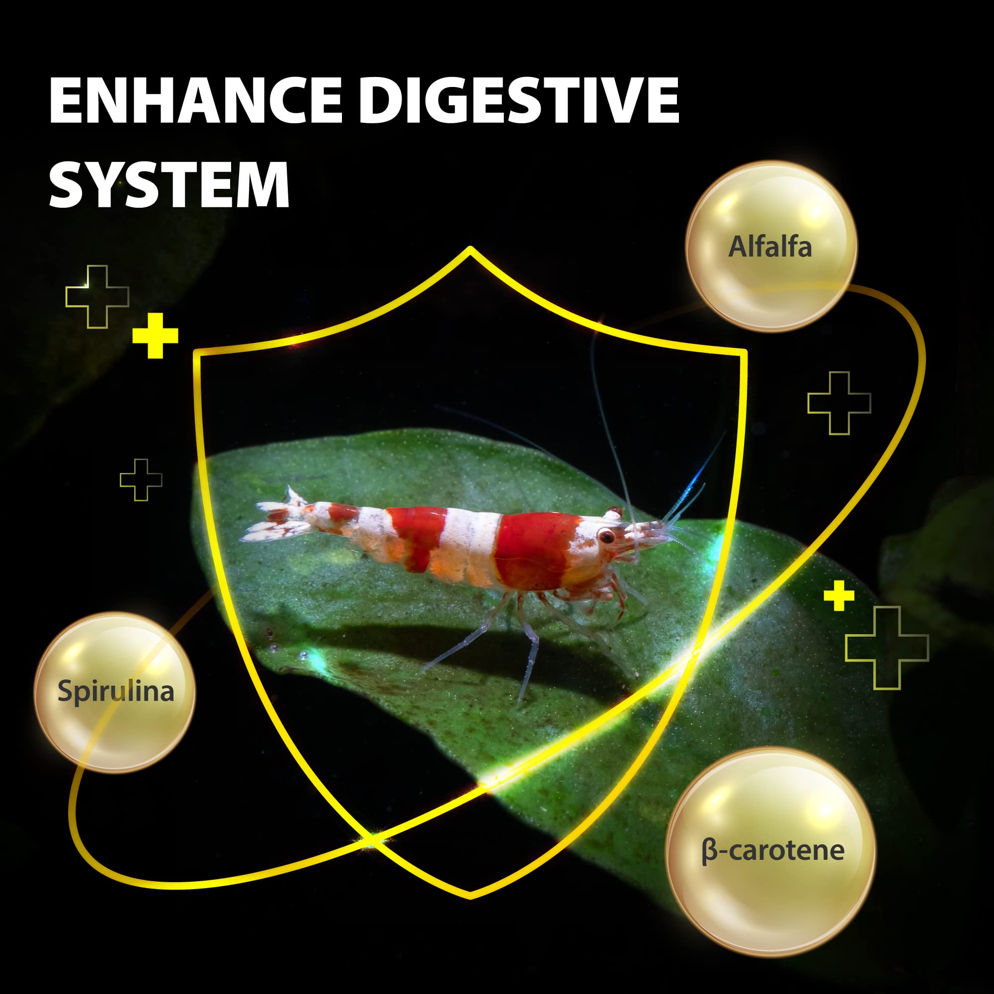 GOOD PARTNER Purify alimento-que-se-hunde-plecos ideal para alimentación del fondo