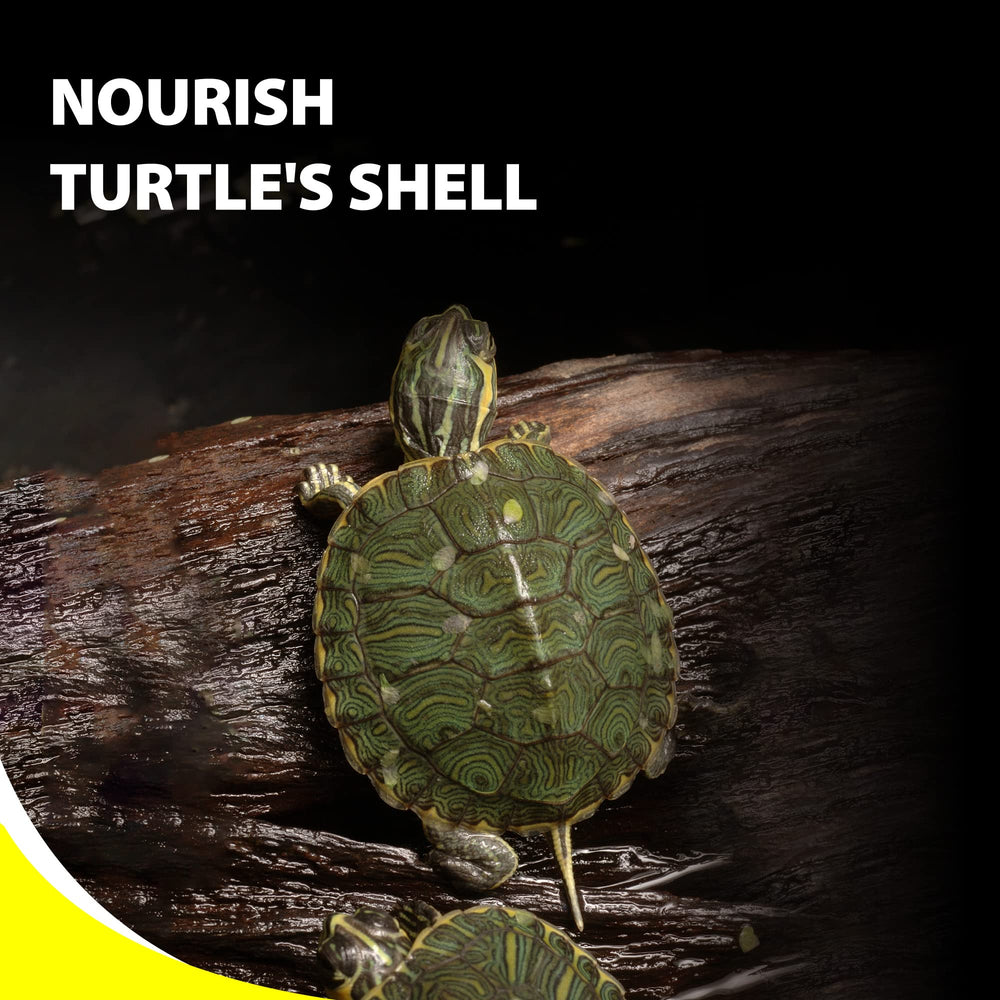 GOOD PARTNER Purify tortuga digestivo sano, apoyo a la digestión y uso de nutrientes.