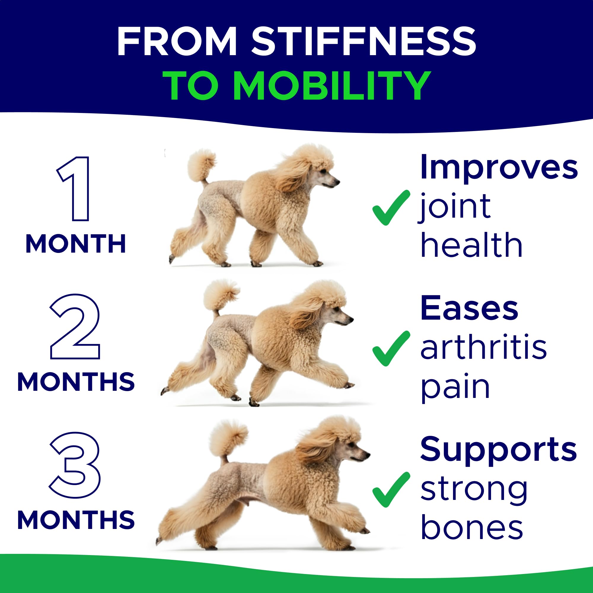 GOODGROWLIES MSM para perros: nutrición articular avanzada.