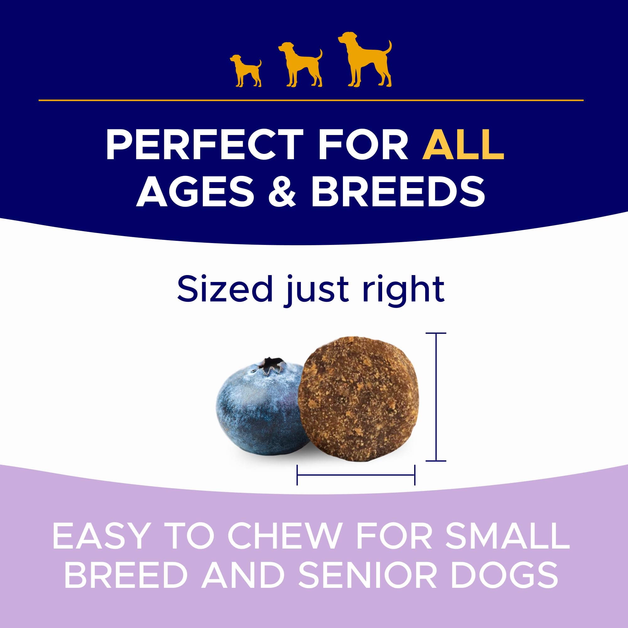 GOODGROWLIES Probióticos para perros: envase compacto para incluir en la comida diaria.