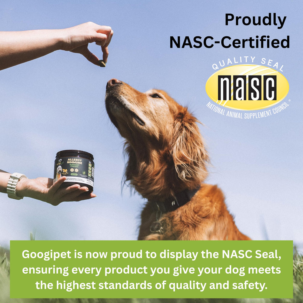 GOOGIPET Calming Chews textura suave para masticación cómoda