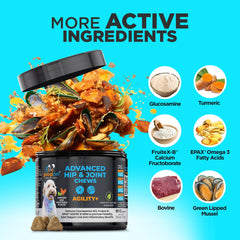 GOOGIPET Premium: cúrcuma para articulaciones, uso diario.