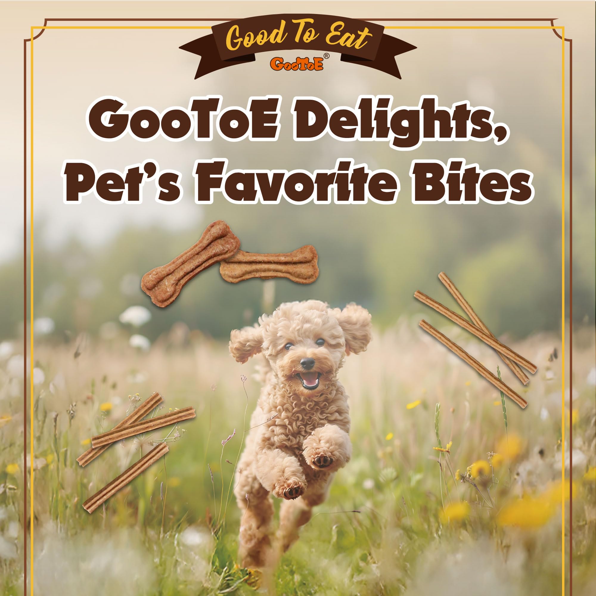 Gootoe ideal para perros medianos y refuerzo de entrenamiento.