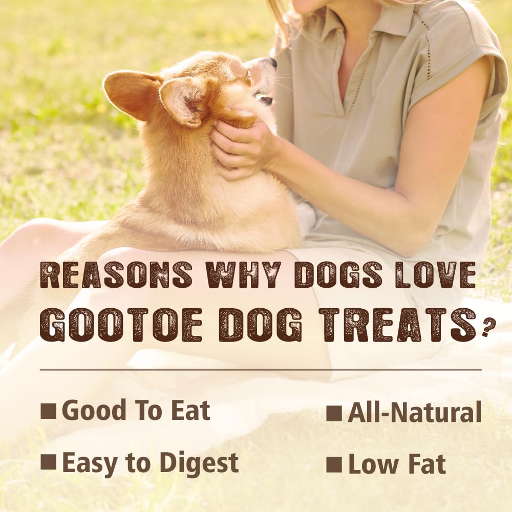 Gootoe tendon-pavo para perros pequeños: mordidas ideales para razas pequeñas.