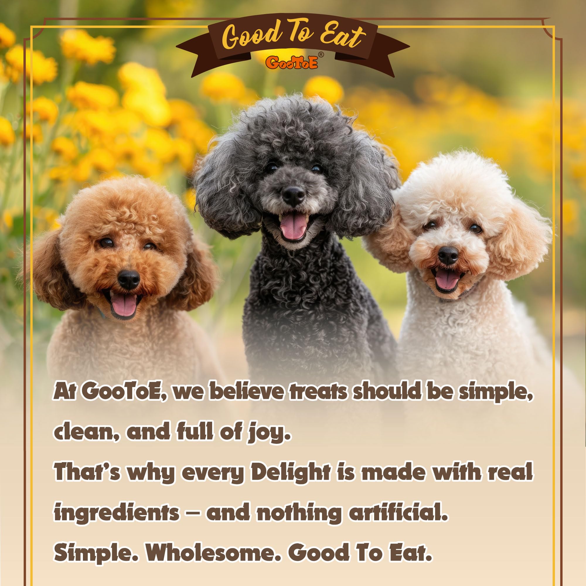 Gootoe: tendones de pavo para perros, ideal para razas pequeñas.