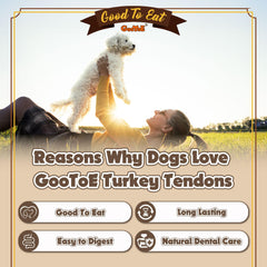 Gootoe tendones de pavo para perros, ingredientes naturales, opción suave para estómagos sensibles