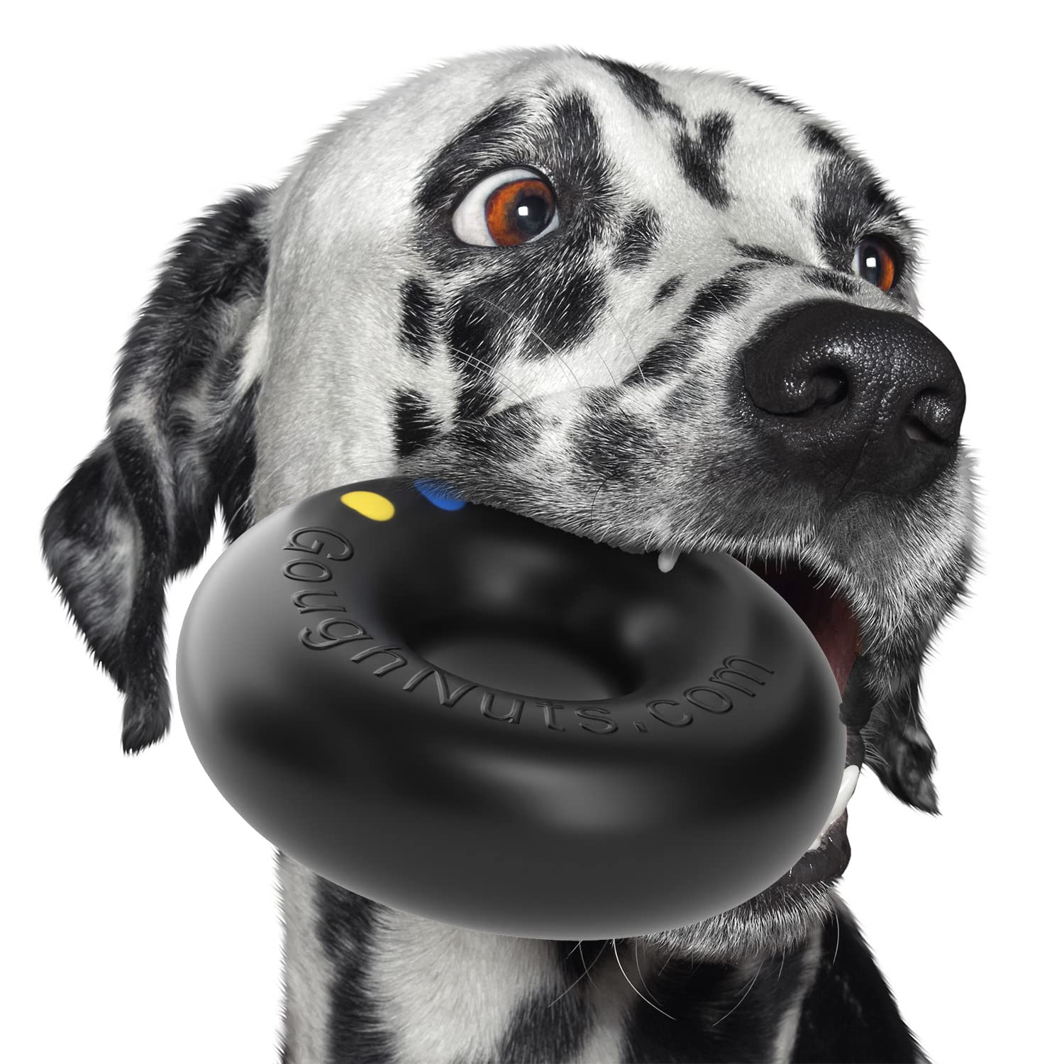 Goughnuts, juguete duro para mordidas intensas, ayuda a mantener al perro ocupado